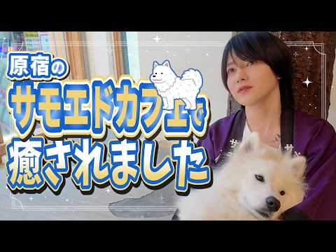 ACQUA -GUNMA- のSNSサムネイル画像